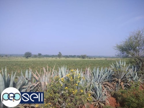 100 acres agriculture Land for sale 0 