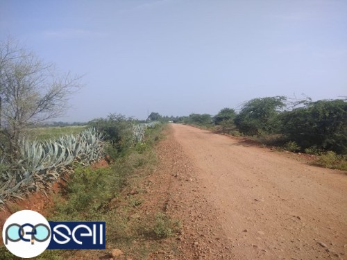 100 acres agriculture Land for sale 1 