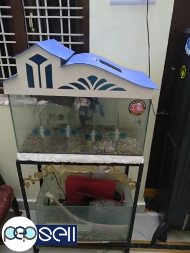 Aquarium with filters and stand for sale 0 