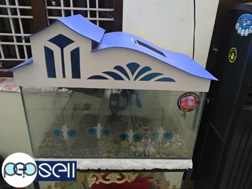 Aquarium with filters and stand for sale 1 