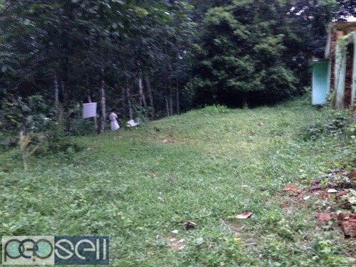 House plot for sale in kuravilangadu 0 