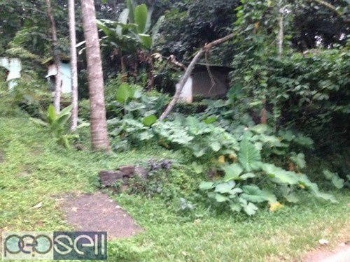 House plot for sale in kuravilangadu 1 