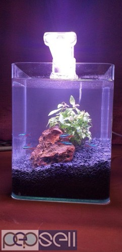 Cube Aquarium for sale at Banglore 1 