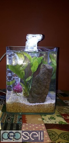 Cube Aquarium for sale at Banglore 3 