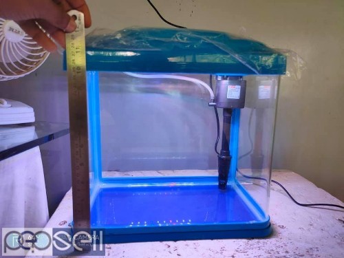 Imported glass tank for sale 0 