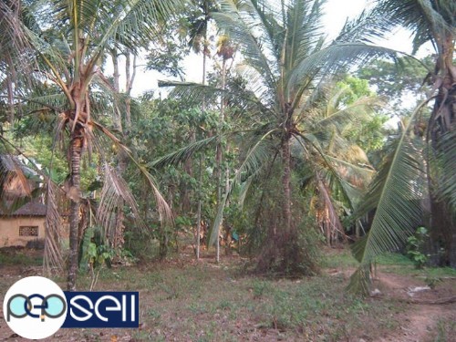 Plot for sale at Mulanthuruthy 0 