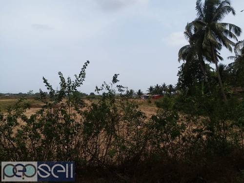 2000 sqmt plot for sale in Sangolda 0 