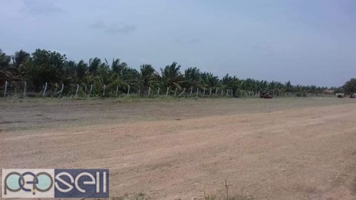 AGRI APPROVED FARM LAND SALE IN UDUMALPAT 1 