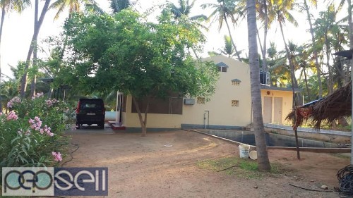 16 acre coconut plantation with farm house at Cumbum 1 