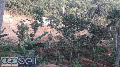 Agricultural land for sale at Vorkady, Kasargod 3 