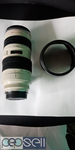 Canon mark 4&24-105, canon mark 3 & 24-105 for sale 2 