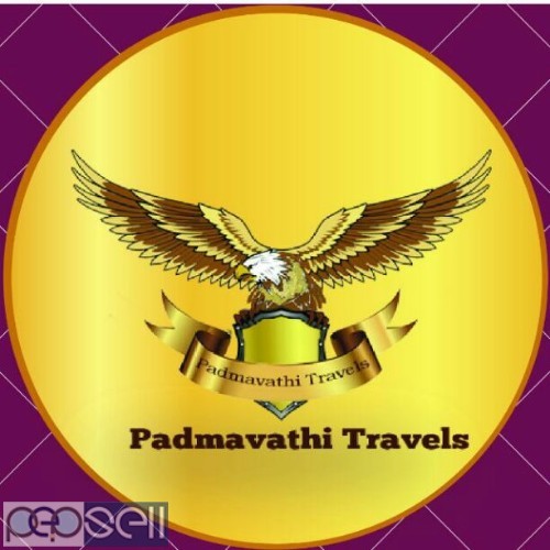 Padmavathi Travels - One day package from chennai to tirupati  0 