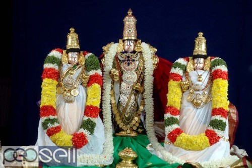 Padmavathi Travels - One day package from chennai to tirupati  3 