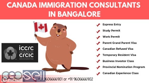 Novus Immigration Consultants in Bangalore 0 