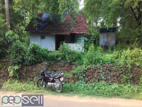 12 Cent Residential land for sale in Koratty Nalukettu 2.30 Lakhs/- cent. 34 meter Main Bus route Frontage  3 