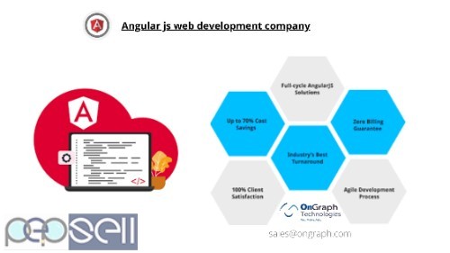 Best Angularjs Development Company in California, USA 0 