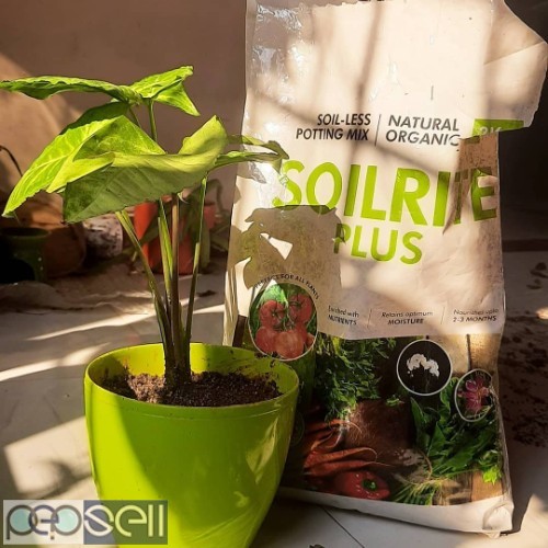 Indoor Gardening Products | Best Soilless Potting Mix 0 